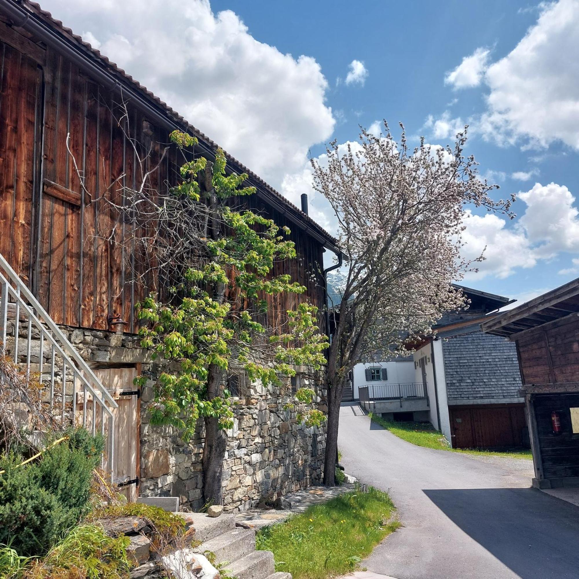 Bichlhof Apartment Niederthai Exterior photo